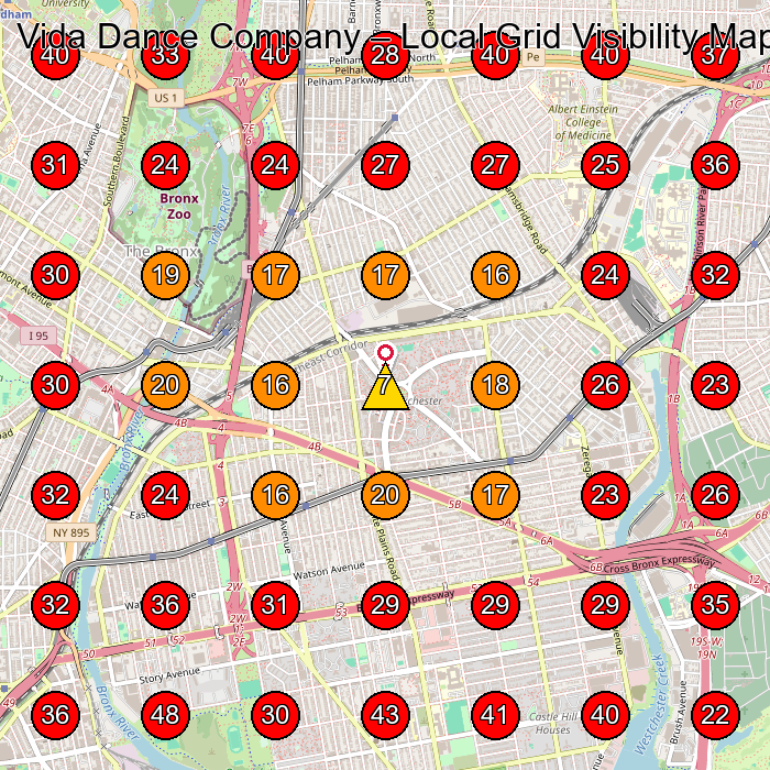 Vida Dance Company GeoGrid visibility map for Dance School in Bronx